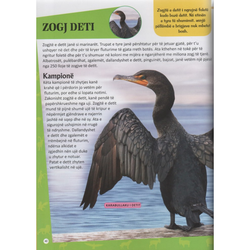 Liber Enciklopedia ime e madhe e kafshëve - Image 2